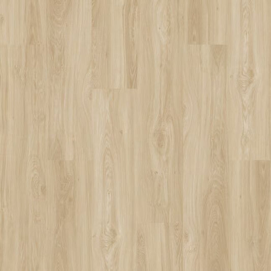 STAINMASTER Brevard Oak Brown Full Tread Cover